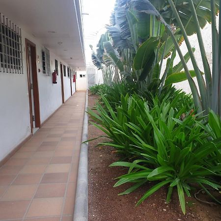 El Apartamento De Concha San Agustín Exterior foto